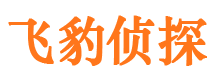 武冈侦探